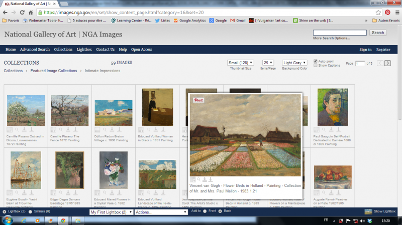 Impression d'écran depuis la collection du National Gallery of Art en ligne - Ici choix thématique «Intimate Impressions. Vincent Van Gogh, Flower Beds in Holland