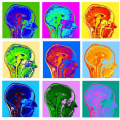 Andy Warhol for Neuroscientists by Valerie van Mulukom