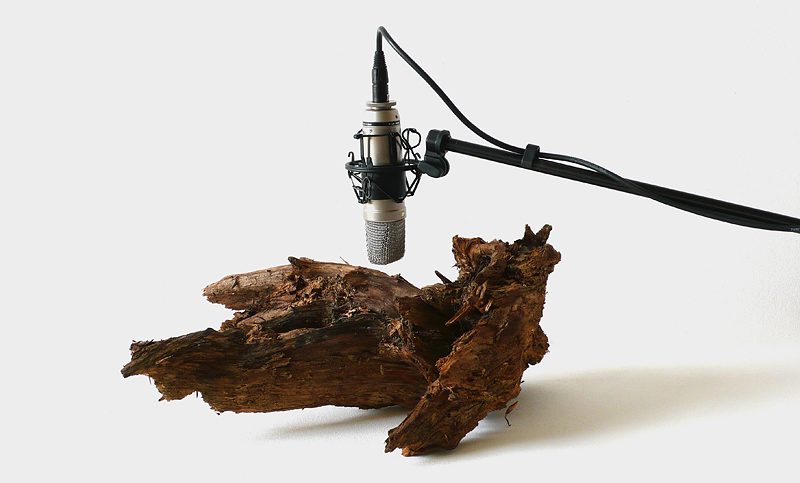 Zimoun, 25 woodworms, wood, microphone, sound system. 2009