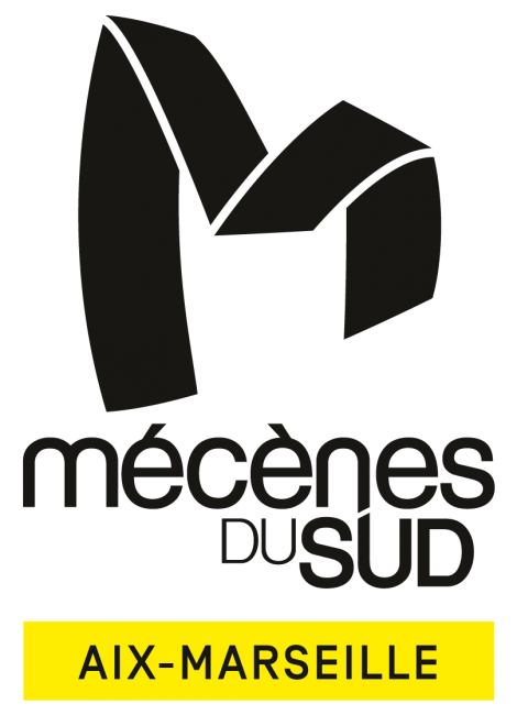 Logo de l'Association Mécènes du Sud