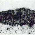 Philippe Cognée, Fusain et graphite agglomérés à l’acrylique sur papier vélin, 1998. Collection MAC/VAL, musée d’art contemporain du Val-de-Marne. Photo © Jacques Faujour.